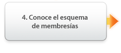 Conoce los esquemas de membresías