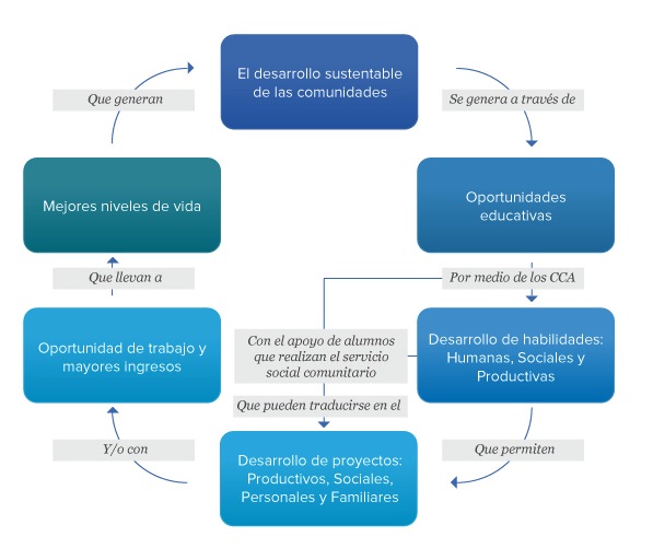 Estrategia de desarrollo