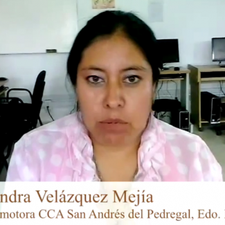 Sandra Velázquez - CCA San Andrés del Pedregal