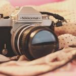 Imagen de Viridiana Lima