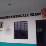 Mariana Vargas Mariana Vargas