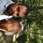 Imagen de Pedro Segundo Gaona