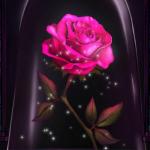 Imagen de Ashley Pamela Bolañaos