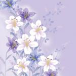 Imagen de Atzin Abril Suriano