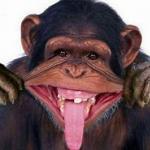 Imagen de María Del Carmen Treviño