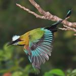 Imagen de Karla Verónica Ruiz