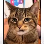 Imagen de Sebastián Guerra