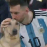 Imagen de Sneider Julian España