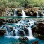 Imagen de Nancy Berenice Olvera