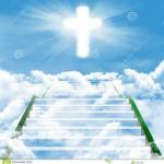 Imagen de Sofia Medina