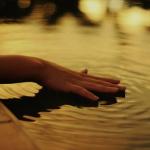 Imagen de Alma Delia Venteño