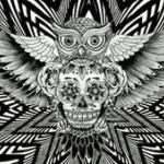 Imagen de Monserrat Gomez