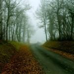 Imagen de Azucena Xochicale