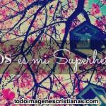 Imagen de Orielis Sutherland